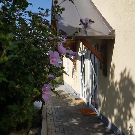 Haus Hibiskus