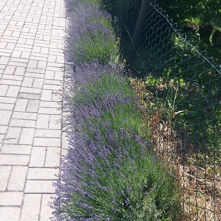 Haus Hibiskus Сasa de vacaciones Keszthely